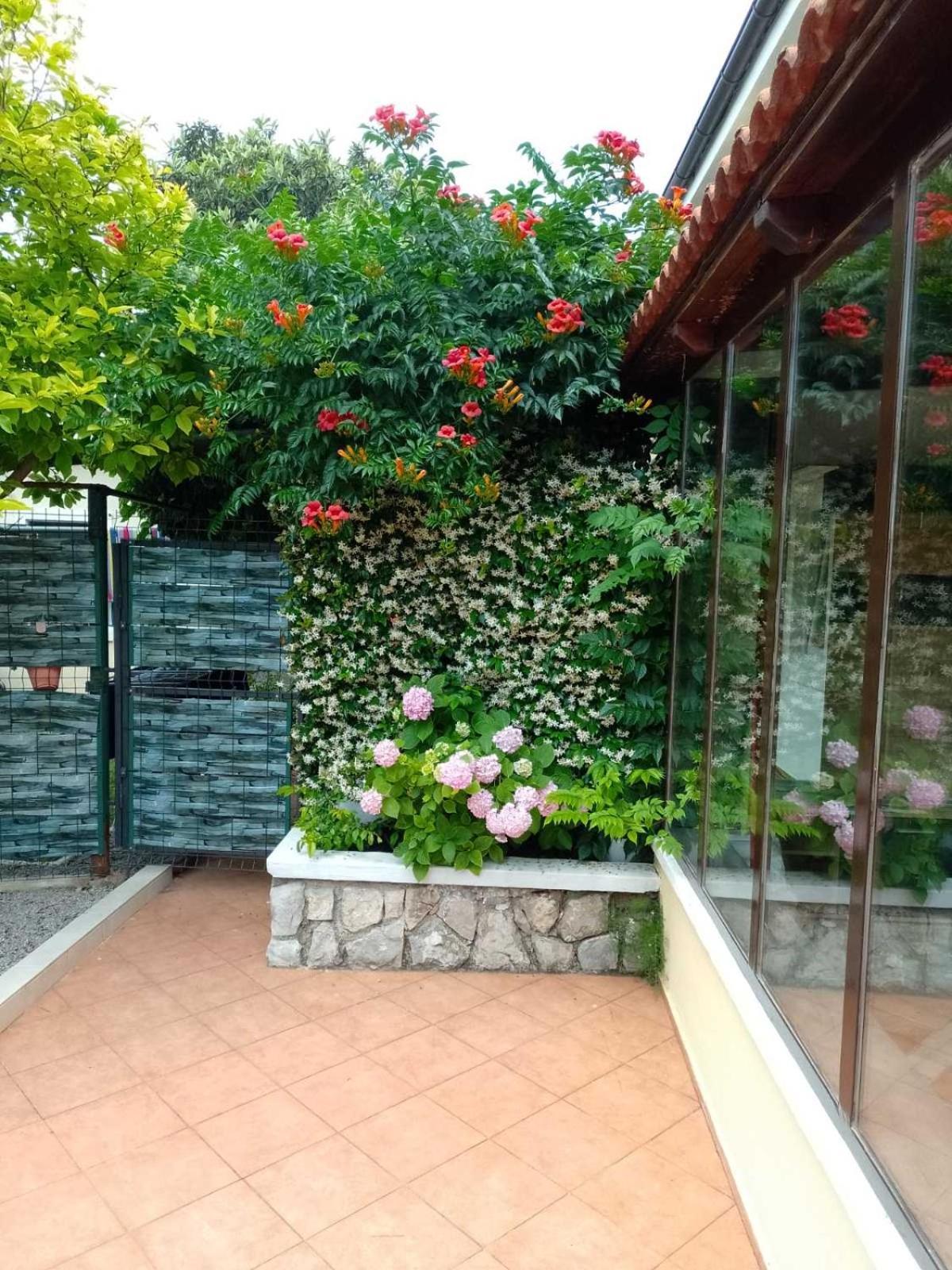 Apartment Ela, Kostrena Rijeka מראה חיצוני תמונה